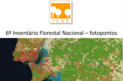 Mapa florestal portugal